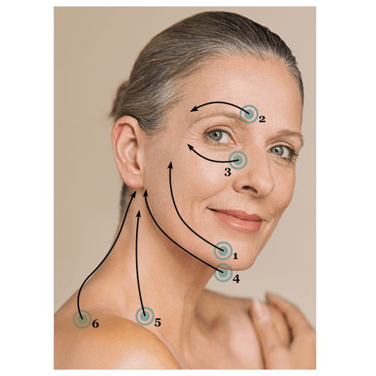 Facial cupping diagram