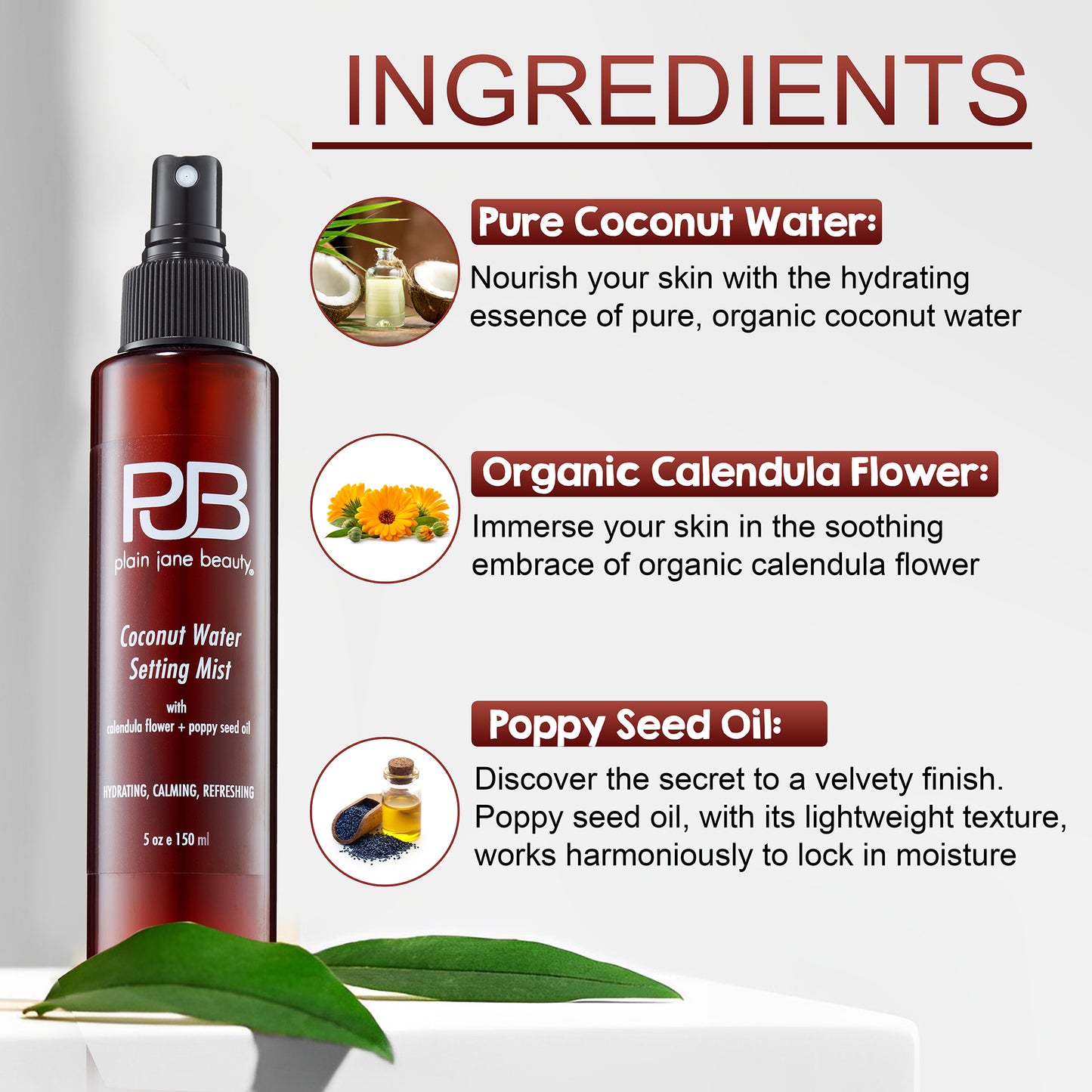 Coconut Water Setting Mist