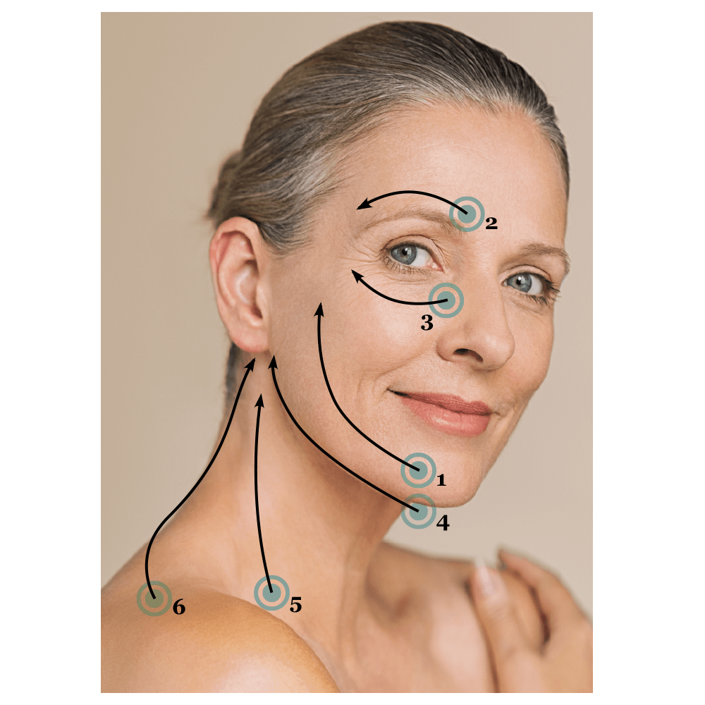 Facial cupping diagram